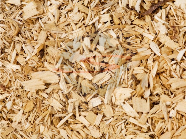 sawdust 