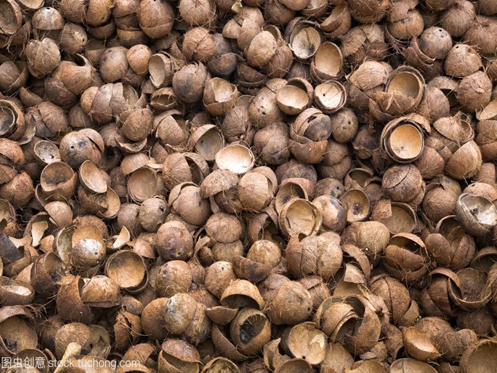 coquille de noix de coco