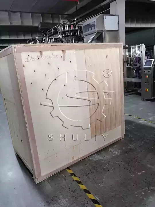 Charcoal Tablet Packing Machine Loading Site
