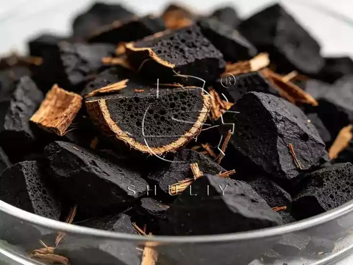 Closeup Of Coconut Shell Activated Carbon Porous Structure
