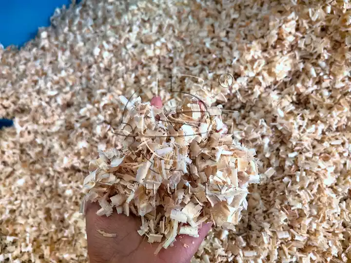 Thick Wood Shavings